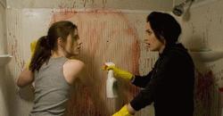 Amy Adams y Emily Blunt en Sunshine Cleaning, ya en cines