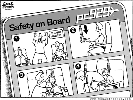 Seguridad a bordo